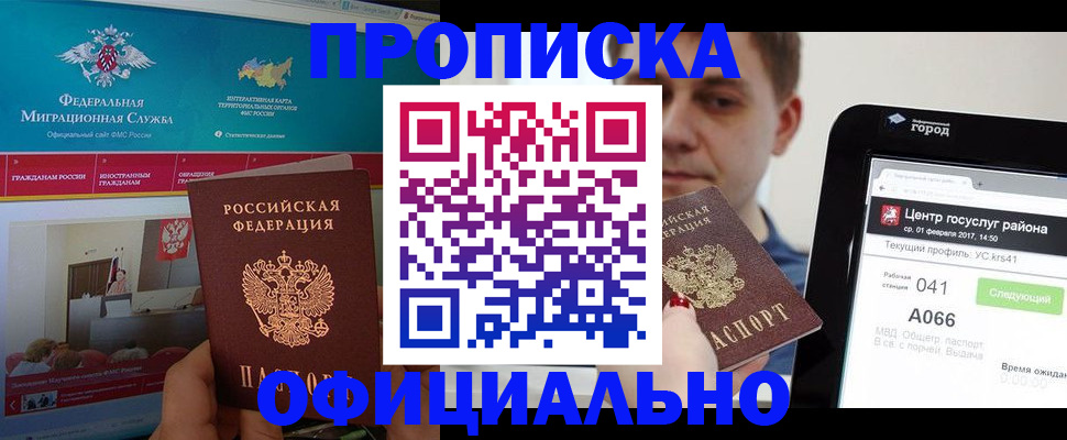 прописка в Сольцах